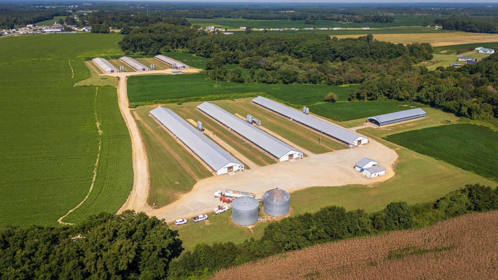 Traditional Fragmented Farm Setup