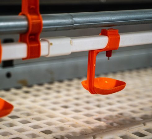 Nipple-Drinking-System-scaled-square